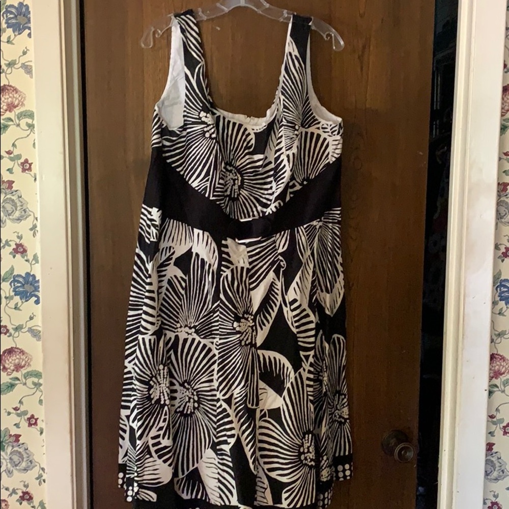 Jones Studio dress